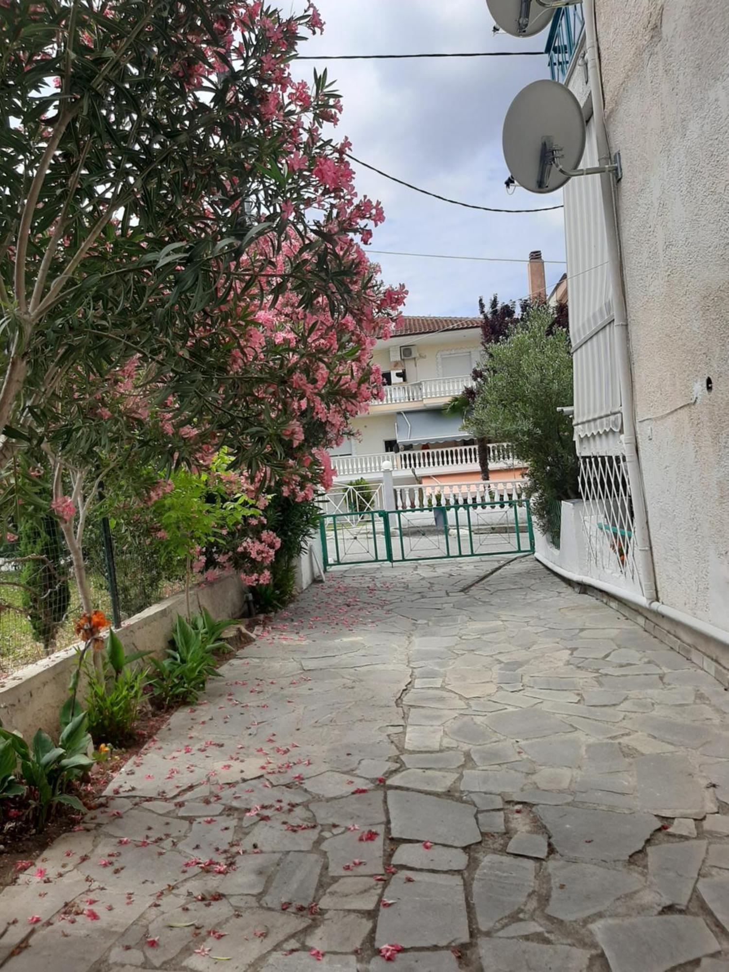 Ferienwohnung Marely Cosy House Kallithea  Exterior foto